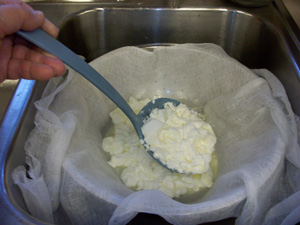 Cottage Cheese Making