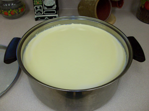 Cottage Cheese Making