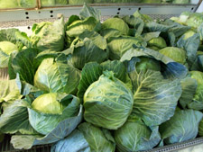 Ritter Farms Cabbage