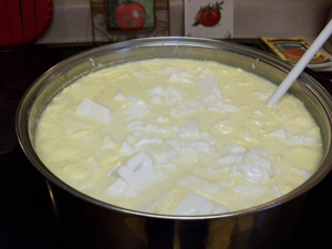 Making Cottage Cheese
